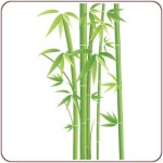 Avatar for ForumBe