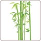 Avatar for ForumBe
