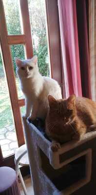 Sunny et Jules  03 2024