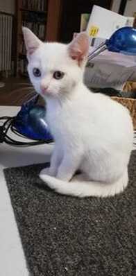 marie 0807 2024