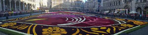 Bruxelles fleurs